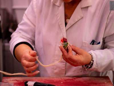 La troviamo in un angolo mentre modella sorridente un �torcinello�, la budella con cui avvolger� gli nghiemeridde